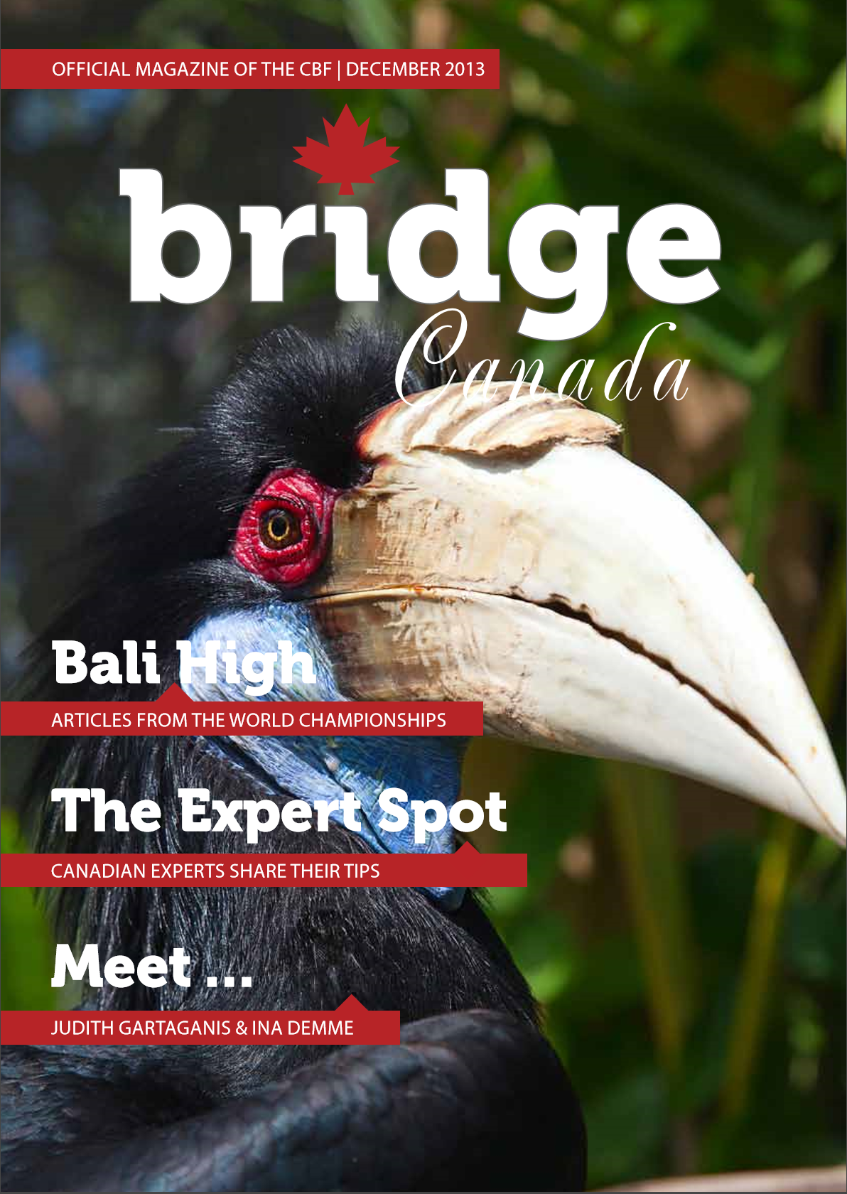 Bridge Canada December 2013 cover